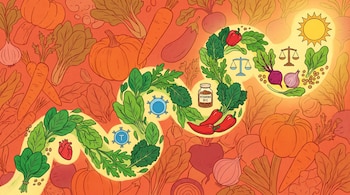 Camino de hojas verdes con símbolos de corazón, célula, vitamina B12, balanza y sol sobre fondo terracota con figuras de vegetales.