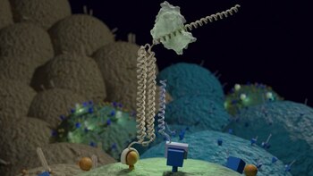 Qué son las proteínas de