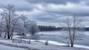 EEUU investiga la muerte de
