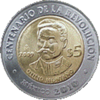 El ejemplar se puede encontrar