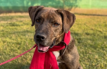 La nueva edición del programa