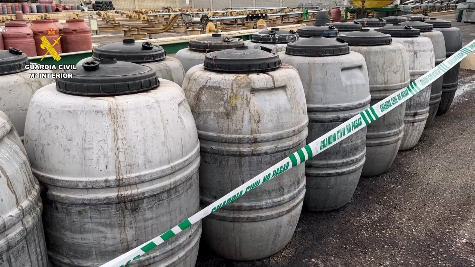 20/09/2026 Aceitunas intervenidasSOCIEDAD GUARDIA CIVIL