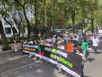 Algunas de las organizaciones civiles