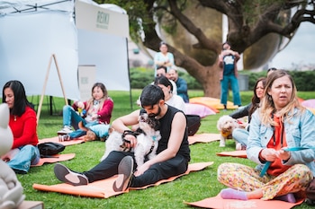 Personas sentadas sobre colchonetas naranjas en el césped de un parque, varias de ellas con perros en su regazo, cerca de una carpa blanca