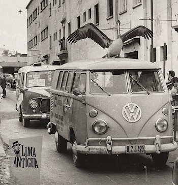 Pelicanos em Lima nos anos 70