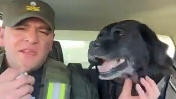 A cuatro meses de su