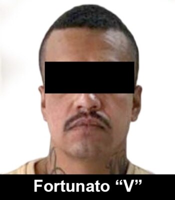 La entrega de este individuo