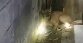 Campesinos del corregimiento de Jaraquiel