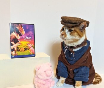 Los disfraces de Horatio son