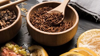 La Organización de las Naciones