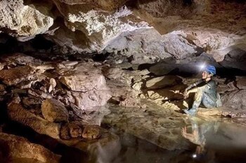 Lo que pensaron que era