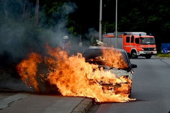 Zum Themendienst-Bericht am 13. November
