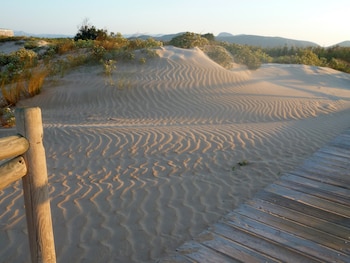 Dunas con vegetación al atardecer. Se aprecian las ondas que deja el viento en la arena.