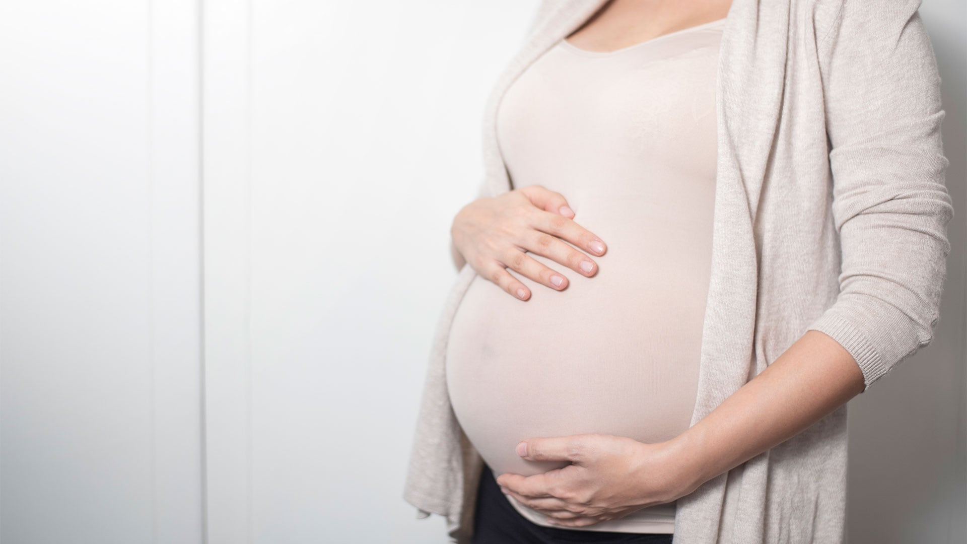 También actualizaron la Asignación por Embarazo (AUE)