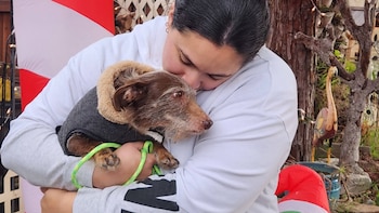 Perro desaparecido en California reaparece