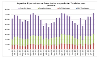 Exportaciones de carne vacuna argentina (enero 2024 - agosto 2026)