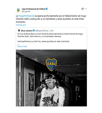 La Liga Profesional de Fútbol