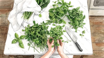 5 hierbas antiinflamatorias avaladas por nutricionistas para incorporar a la alimentación diaria