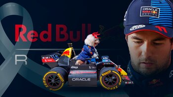 Fallece Fabbio, el popular perrito