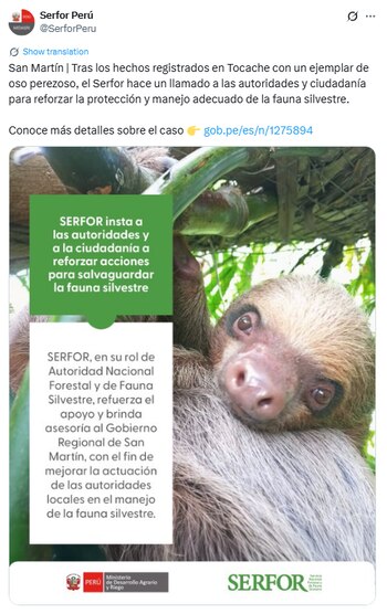 Serfor se pronuncia acerca del