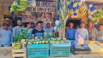 Tianguis campesinos de Sembrando Vida fortalecen la alimentación saludable y la economía rural en México