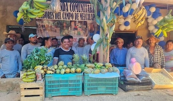 Un grupo de agricultores sonríe detrás de un puesto con plátanos, piñas, guayabas, melones, limas, granos y hojas verdes en un mercado al aire libre