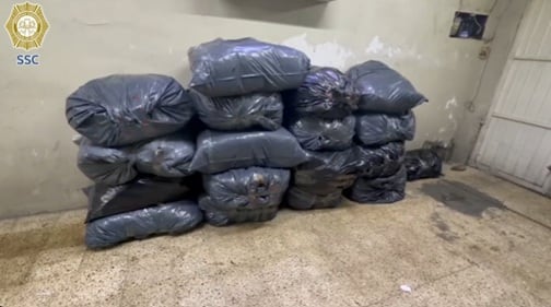 Aseguran una tonelada de mariguana en dos operativos en CDMX: investigan vínculos con grupos criminales