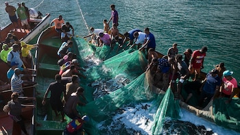 La pesca en el Caribe,