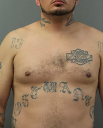 Torso de un hombre con barba corta y tatuajes de letras en el abdomen, el pecho y el cuello frente a un fondo gris neutro