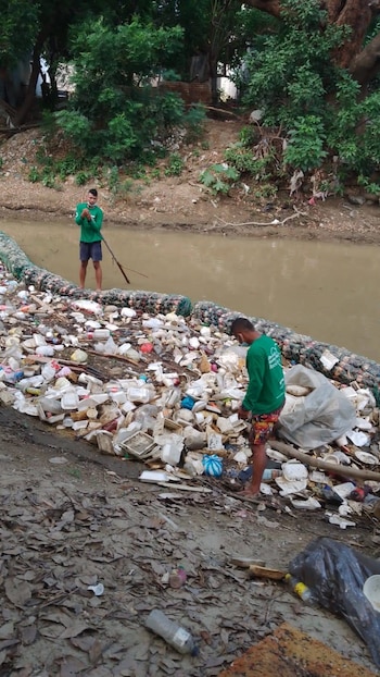 La Fundación Río Gaira ha documentado la persistencia de residuos sólidos flotantes en el cauce, cuya composición incluye plásticos, restos orgánicos, troncos y otros materiales arrastrados río abajo.