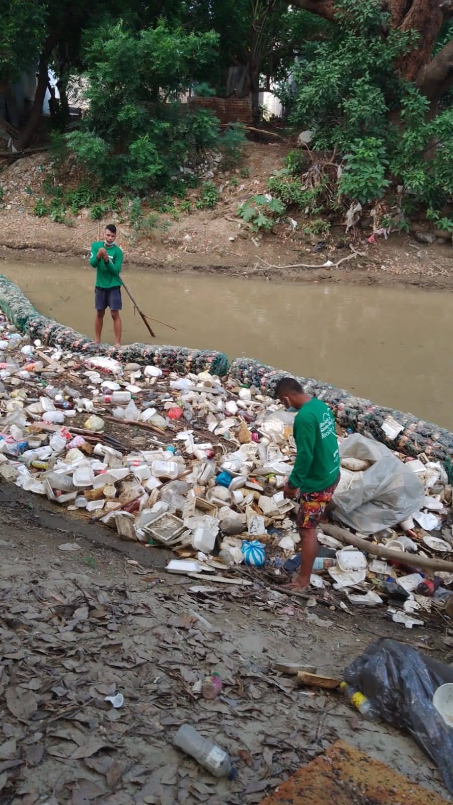 La Fundación Río Gaira ha documentado la persistencia de residuos sólidos flotantes en el cauce, cuya composición incluye plásticos, restos orgánicos, troncos y otros materiales arrastrados río abajo.