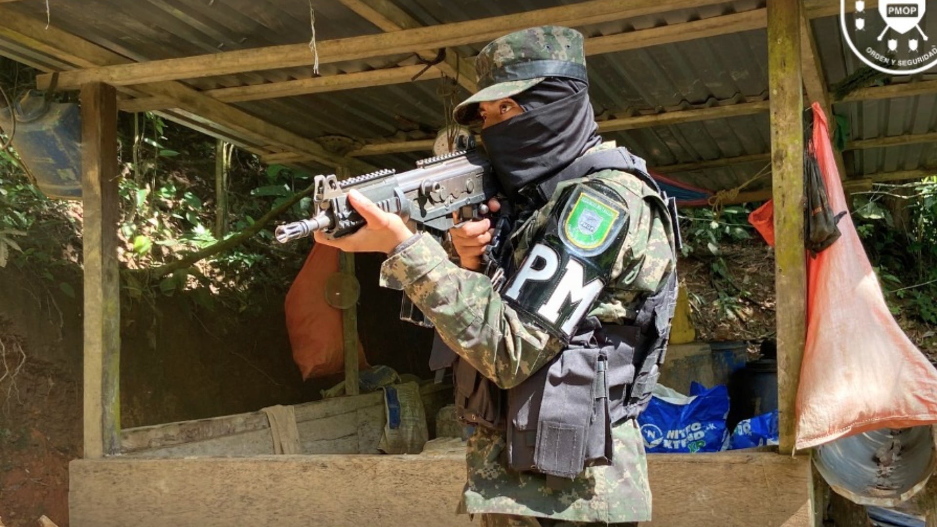 Honduras asegura plantación con 5.500 arbustos de coca en el departamento de Colón