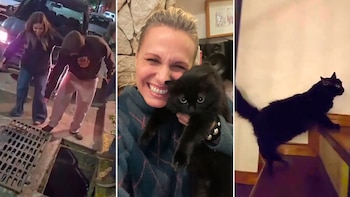Denise Dumas recuperó a su gata después de 10 días de búsqueda: el abrazo con sus hijos que cerró la angustia