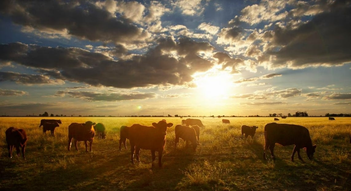 El Niño podría disparar el precio de los alimentos y golpear la inflación en Colombia