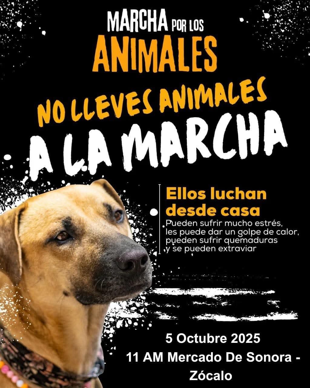 El contingente saldrá del Mercado de Sonora rumbo al Zócalo. Foto: (Redes sociales)