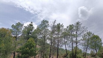 La intensidad y recurrencia de