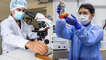 A través del Vicerrectorado de