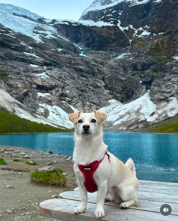Elko, en su lugar favorito,