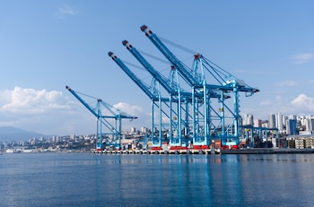 Según el informe, la cantidad de productos que pueden convertirse en cuellos de botella para el abastecimiento global más que se duplicó entre 2000 y 2024 (Foto: Shutterstock)