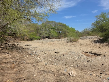 El PMA estima que al menos 500.000 personas más en Honduras podrían caer en inseguridad alimentaria por la falta de lluvias y el fenómeno de El Niño. (Oscar Ortiz)