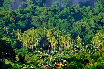 El estudio destaca que el
