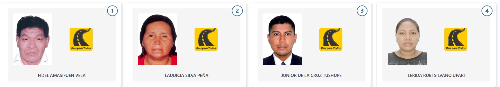 Los cuatro candidatos a diputado por Loreto, se presentan en sus retratos oficiales con el logo de