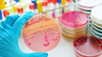 SEIMC exige en el Congreso