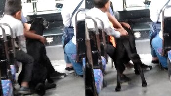 Gracias al conductor los niños