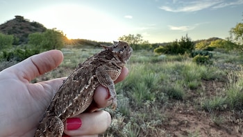 La pérdida de hábitat y