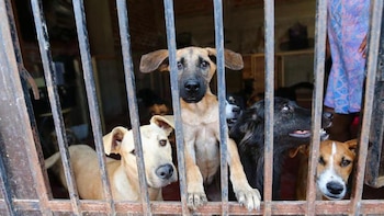 ¿Sabías que ahora podrás acceder