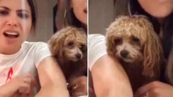 Así se encuentra Caramelo, el