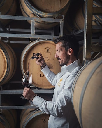 Vinos premiados Decanter World Wine Awards