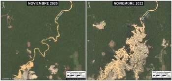 El avance de la deforestación