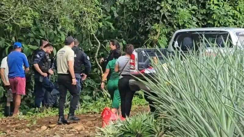 La plantación de piña en Calle Calvito, Pital de San Carlos, donde la mañana del martes fue hallado el cuerpo decapitado de la víctima (Cortesía: Acción 10).